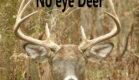 No eye deer!