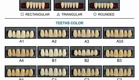 Dental Tooth Shade Chart Printable