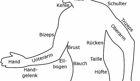 Deutsch Made Easier: Der Körper und die Körperteile | German language