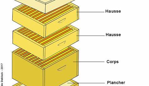 Structure des ruches à cadres