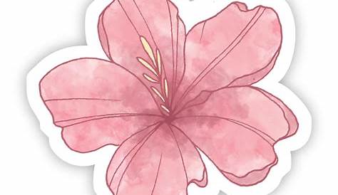 #Tumblr | Desenhos de flores, Ideias de tatuagens, Flores