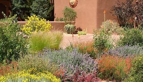 Desert Garden Design Ideas