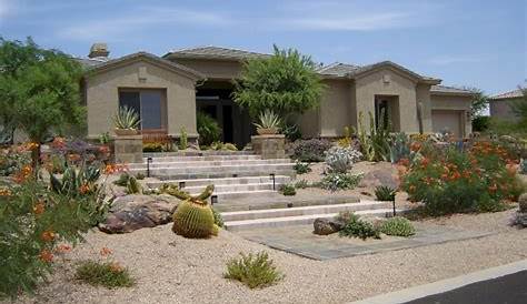Desert Landscape | Desert landscaping, Home landscaping, Arizona backyard