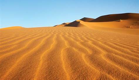 Deserted Meaning Desert Precipitation, Plant, And Animal Life