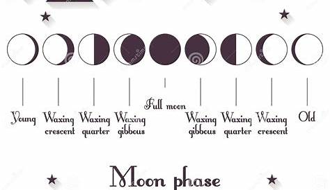 Les phases de la lune 446859 Art vectoriel chez Vecteezy