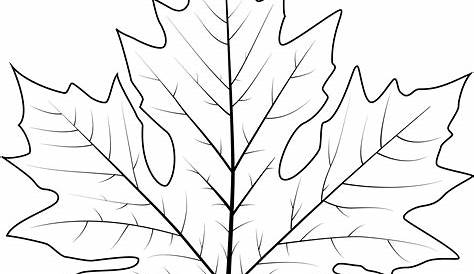 Dessin De Feuille D Arbre À Imprimer - PrimaNYC.com