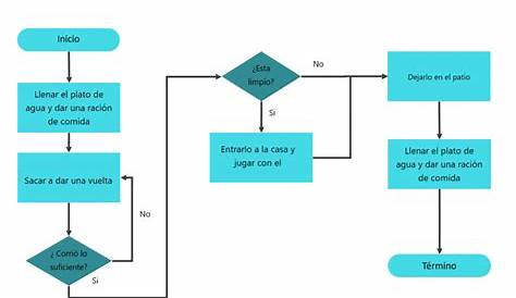 Diagrama De Flujo De Proceso Ejemplo De Una Empresa – Ejemplo