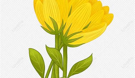 Flores Amarillas Ilustración De Dibujos Animados Ilustración De Flores