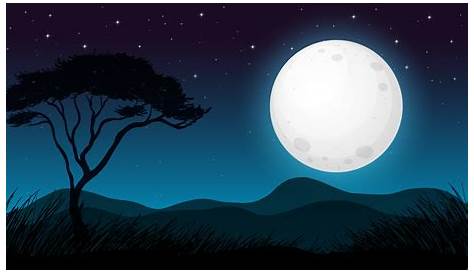 Ilustración de noche de vector de bosque con luna cescente y estrellas
