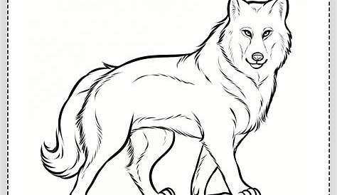 Introducir 61+ imagen lobos para dibujar facil - Abzlocal.mx