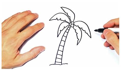 Como dibujar una palmera paso a paso | How to draw a palm tree - YouTube