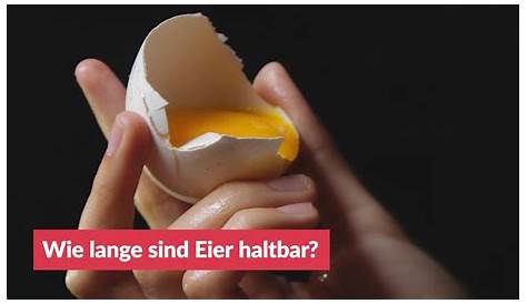 So oder so rum? Die Eier im Karton liegen falsch - Wissen rund ums Ei