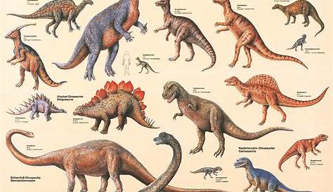 Dinosaurier Bilder Mit Namen