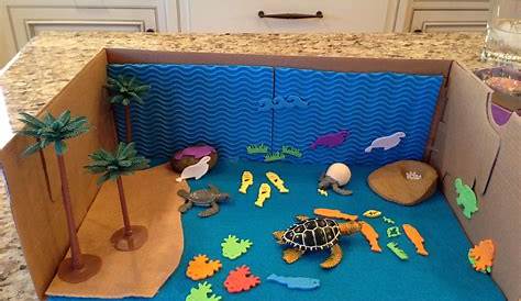 Cards ,Crafts ,Kids Projects: Birds Diorama