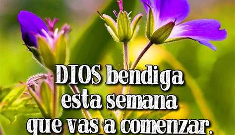 Dios bendiga tu Semana! | Dear god, Spanish prayers, Prayers