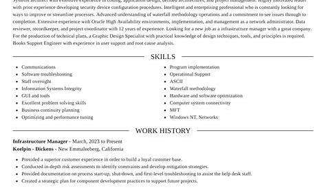 IT Infrastructure Director Resume | Templates at allbusinesstemplates.com