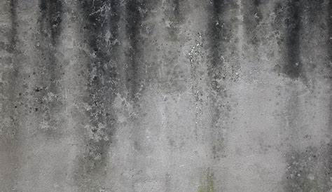 Old and dirty concrete texture Wall Mural • Pixers® • We live to change