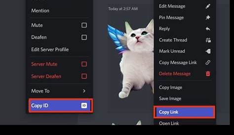 How To Work With Discord Reactive Images As A Beginner 2023 | techpp