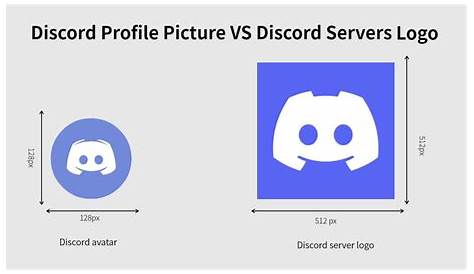 Discord Pfp Circle Size / Discord Profile Picture Avatar Size Info