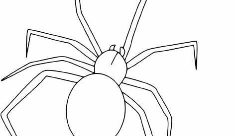 Disegno di Un ragno da colorare | Disegni da colorare e stampare gratis