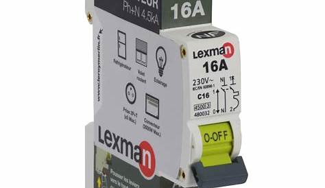 Disjoncteur Lexman Phase + Neutre LEXMAN 32 A Leroy Merlin