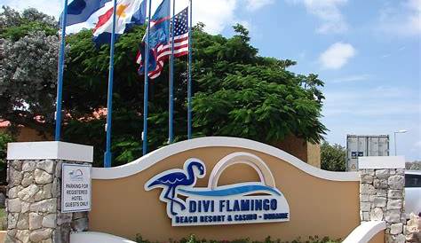 Divi Flamingo Beach Resort & Casino ★★★☆ - Bonaire - Orca