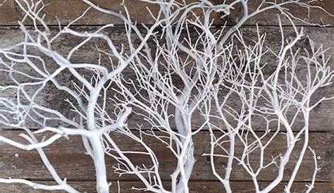 Diy Christmas Decorations With Tree Branches
