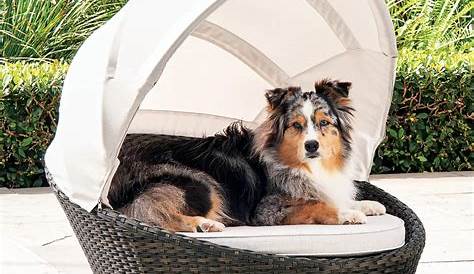 Diy Outdoor Dog Bed With Canopy Outside