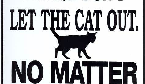 Don't let the cat out Crazy Cat Lady, Crazy Cats, Cats Meow, Cats And