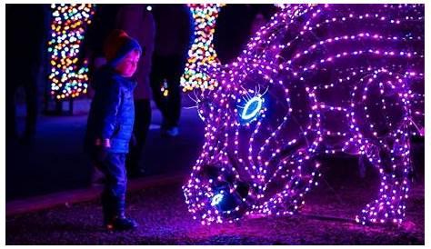 Do Zoo Members Get A Discount On Zoo Lights?