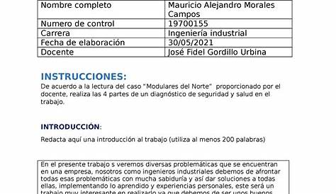 (PDF) PLAN DE SEGURIDAD Y SALUD EN EL TRABAJO | Juan Ramirez - Academia.edu