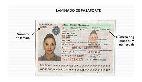 Numero De Pasaporte Mexicano