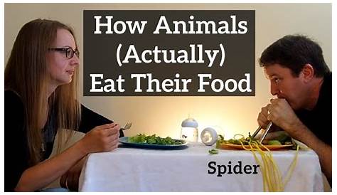 Discover The Secrets: Animals That Make Their Own Food