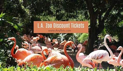 Does AAA Give Los Angeles Zoo Discount?
