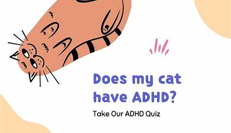 How To Tell If Your Cat Has Adhd? Update