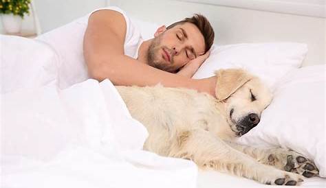 Does My Dog Like Sleeping In My Bed 5 Great Reasons To