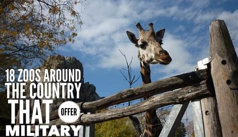 18 Zoos with Military Discounts Across the US