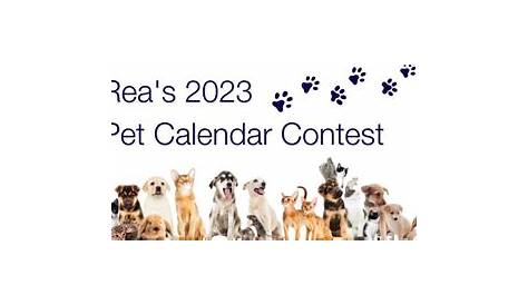 2024 Calendar Pet Photo Contest - Alexandria Animals