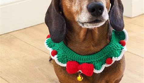 Dog Christmas Outfit Etsy