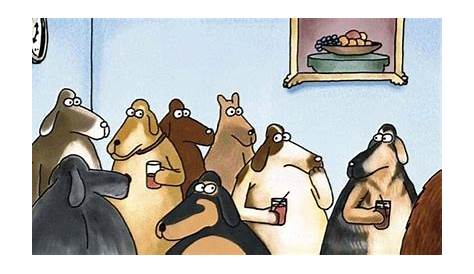 Pin by Matt Barr on Dogs | Far side cartoons, Funny postcards, Gary larson