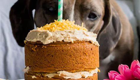 Mini Dog Birthday Cake - The Almond Eater