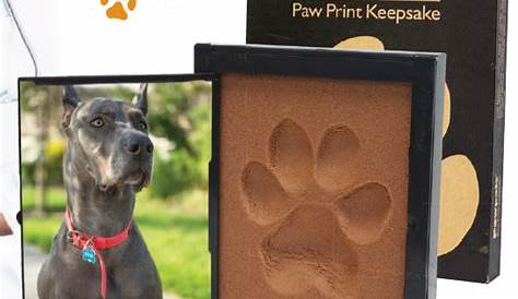 Dog or Cat Paw Print Pet Keepsake Photo Frame With Pet Pawprint Imprint Kit