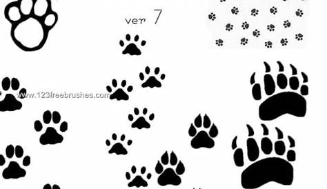 Procreate brush dog paw print | Etsy