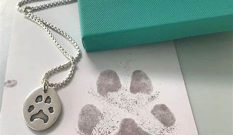 Cat and Dog Pet Paw Print Kit - pet-safe ink with drawstring bag
