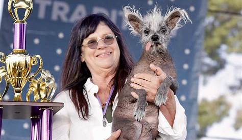 17 Facts About Ugly Dog Contest - Facts.net