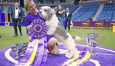 Westminster Dog Show 2023 winners: A complete list including Best in