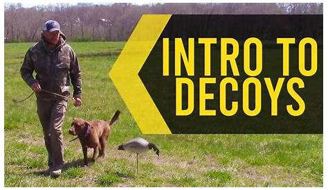 Dog Training Decoys Dokken Dead Fowl Canada Goose Dummy Deadfowl Decoy Aid