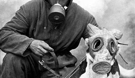 Dog Gas Masks | Flickr - Photo Sharing!