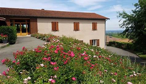 Domaine Les Roches Bleues - Oenotourisme