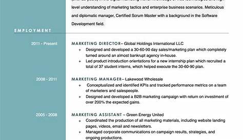 Download Free Resume Templates For Open Office 15 Libre